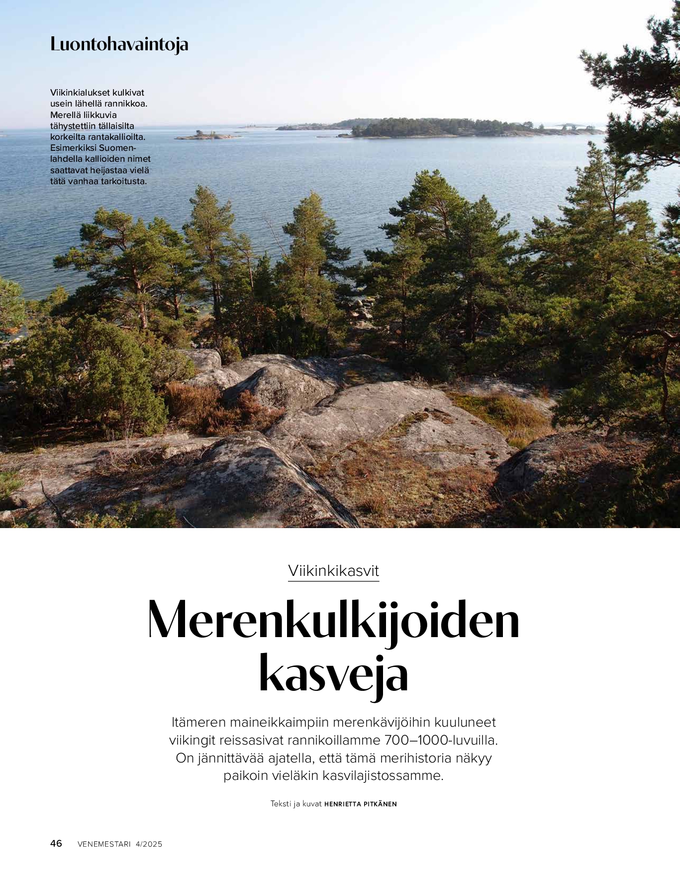 Luontohavaintoja: Viikinkikasvit