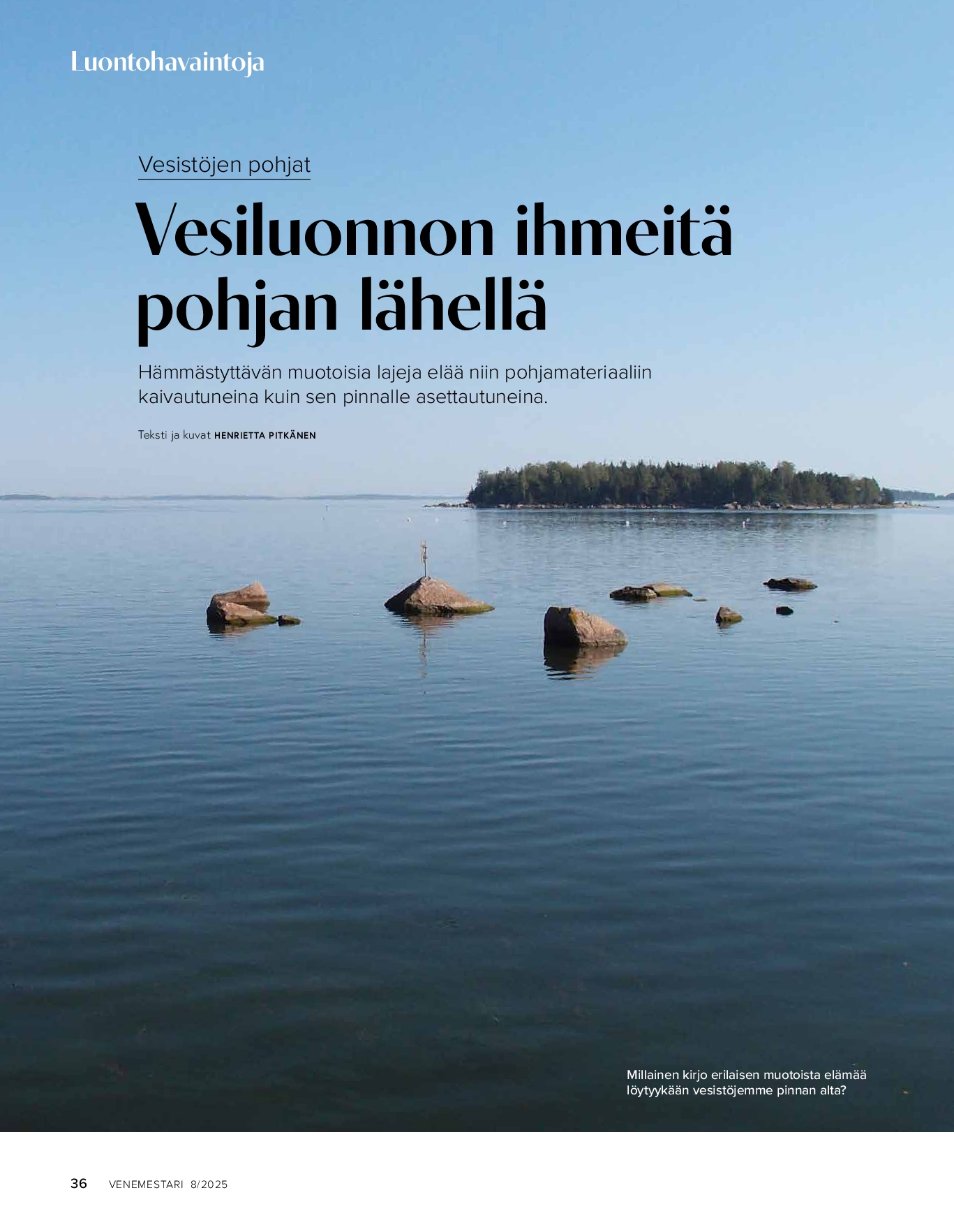 Luontohavaintoja: pohjalla