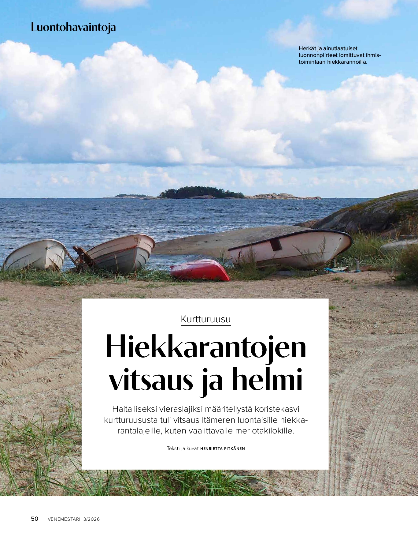 Luontohavaintoja: kurtturuusu